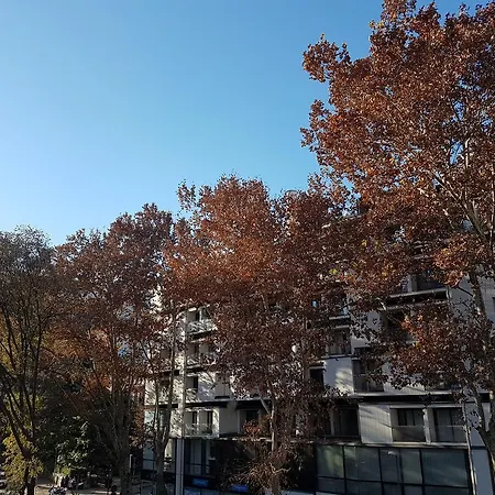Manda Lägenhet Trento